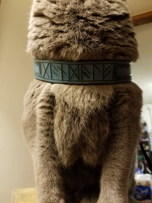 athousandrasps:Gandalf’s new harness! The runes spell his name in elder futhark.