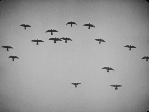 ozu-teapot:   The Passion of Joan of Arc | Carl Theodor Dreyer | 1928 AKA Jeanne d'Arcs lidelse og død (Jeanne d'Arc’s suffering and death) 