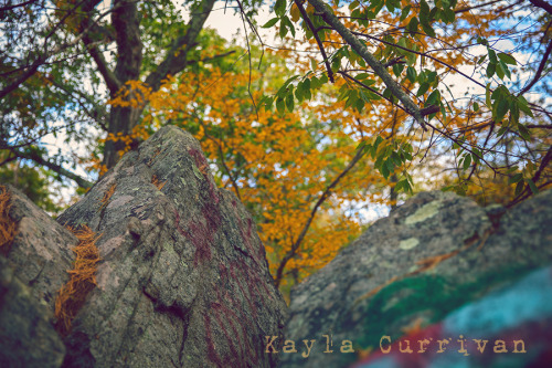 Profile Rock. Freetown, Massachusetts.  (October 23, 2015)More on Flickr.