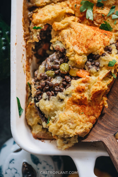 Vegan Shepherd’s PieVegan shepherd’s pie has a base of assorted veggies and mushrooms in gravy