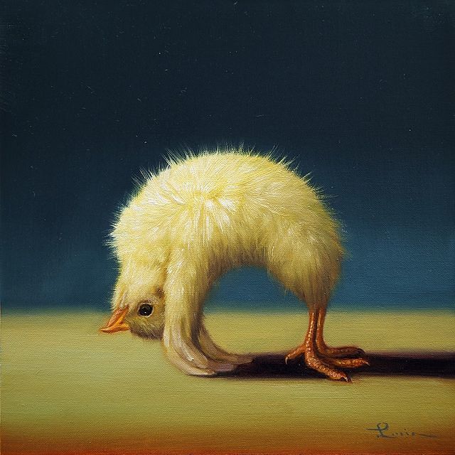 ousia-poetica:I have seen so many strange things that I am not surprised to see a baby chick doing physical and mental exercise. Art by Lucia Heffernan on Etsy.