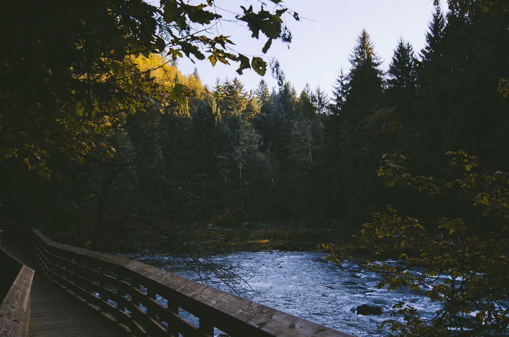 englishsnow:  by Ezekiel.vg 