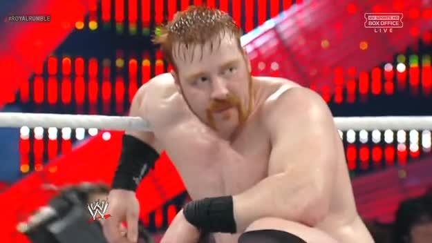 dixiewildflower:  Sheamus’ sex hair from last night.