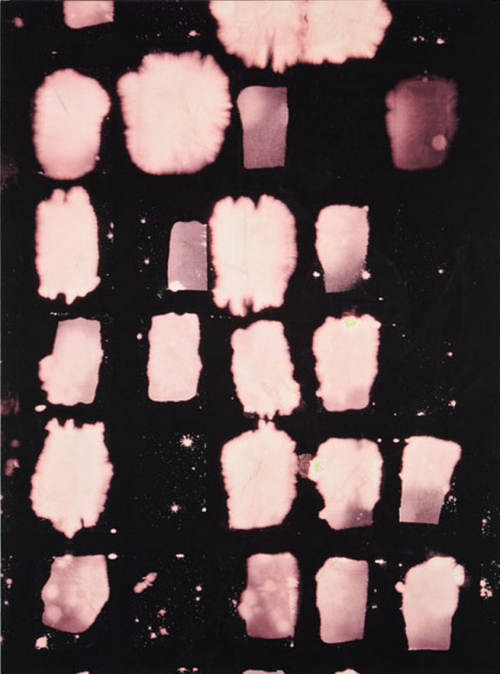 withoutyourwalls:  Shane Tolbert