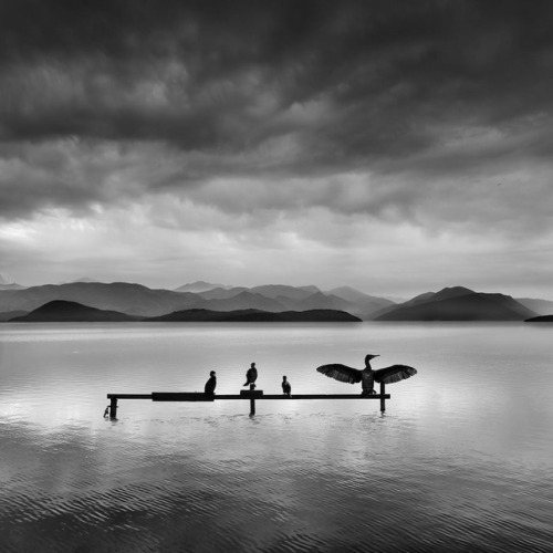 mymodernmet:Minimalist Photographer Captures Dramatic Depth of Nature in Black and White