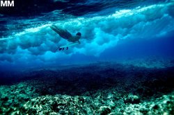 surf-deep:  morganmaassen:  Trevor Gordon, sub-aquatic navigation on the outer islands of Fiji.  - 