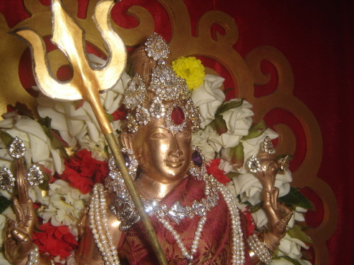 Last night of Navaratri, Vishnu as Vishnudurgai at my household shrine