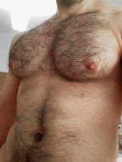 MuscleBear