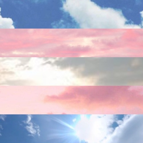 thatgayshitmoodboards: trans flag+the sky!