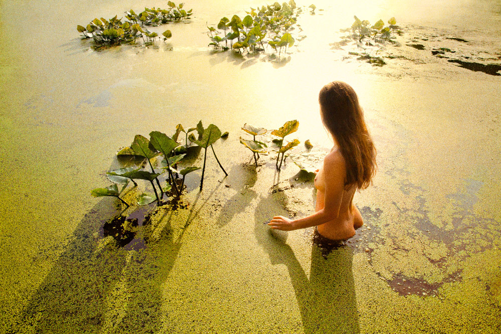 ryanmcginley:  Glowing Pond (Green), 2013 