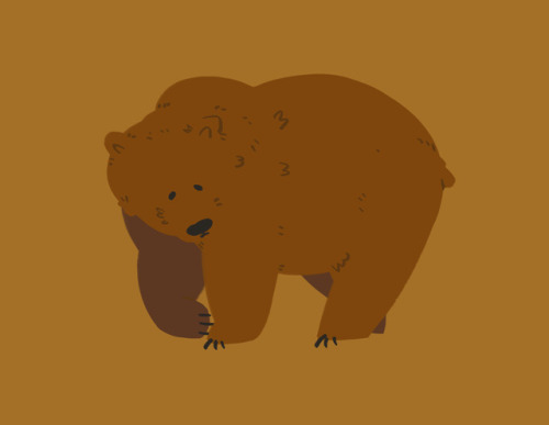beeloh: bears!!!