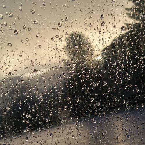 #lazy #daze #rainydays (at Kelowna, British Columbia)
