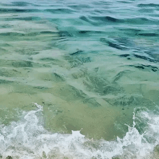 Rantaro Amami Stimboard With Ocean Themes For Anon!