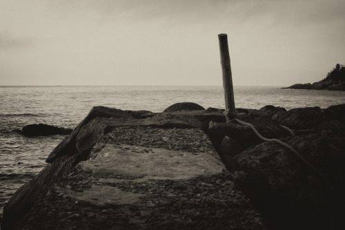 koshigurajumy:  Jumy-MEdge of a small fishing port / 港の端っこ