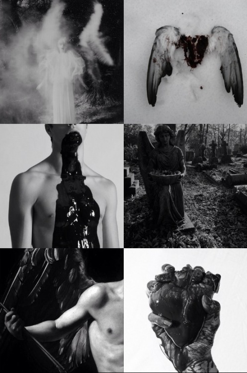 domericbolton: seraphim on earth