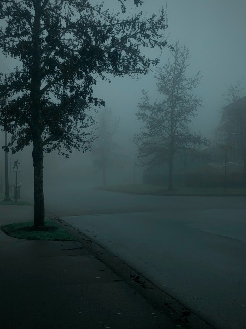 October My Beloved