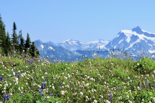 burningmine:Skyline Divide, August 2019