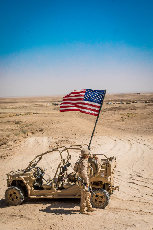 U.S. Marines with 3rd Battalion, 7th Marine Regiment, 1st Marine Division - attached to Special Purp