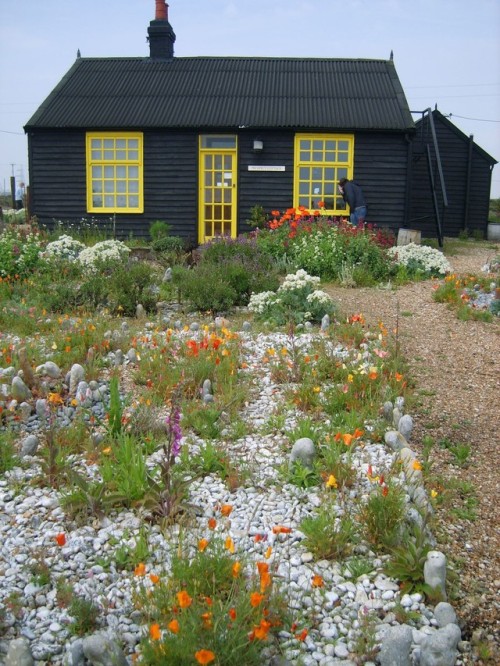 oldfarmhouse:Prospect Cottage, Derek Jarman’s house and garden, in Dungeness in Kent.