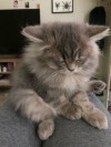 rockied:Mi tuna nodding off