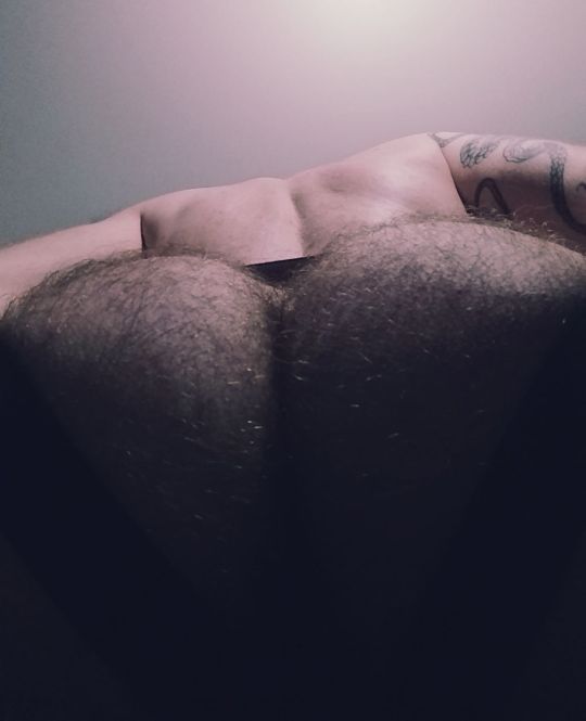 druid-owl:POV me trying to sit on your face 😈