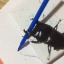 cheese-beetle