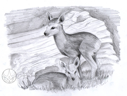 have some cutsie baby water-deer.And I’m supposed to color the  grey-toned one with acrilycs later. It’s gonna be really painful, I already know.