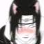 kiraricat