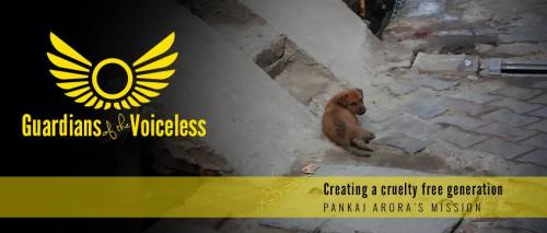 be-their-sound:  Guardians of The Voiceless are a team of volunteers in India driven to create a cruelty free generation. They care for the less fortunate in India, animals and children. Founder Pankaj Arora works tirelessly to help all animals in need