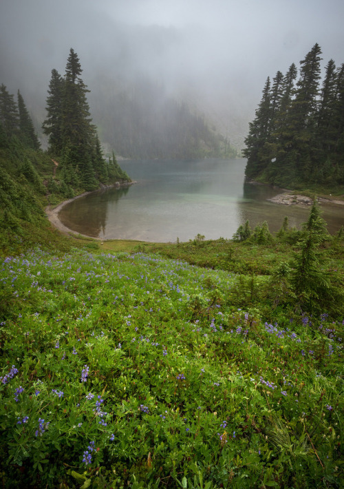 Washington State by Billy Harnerkharak.smugmug.com