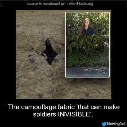 mindblowingfactz:  The camouflage fabric ‘that can make soldiers INVISIBLE’. -Source   Its called photoshop&hellip; and its been around for years&hellip;.  &gt;_&gt;