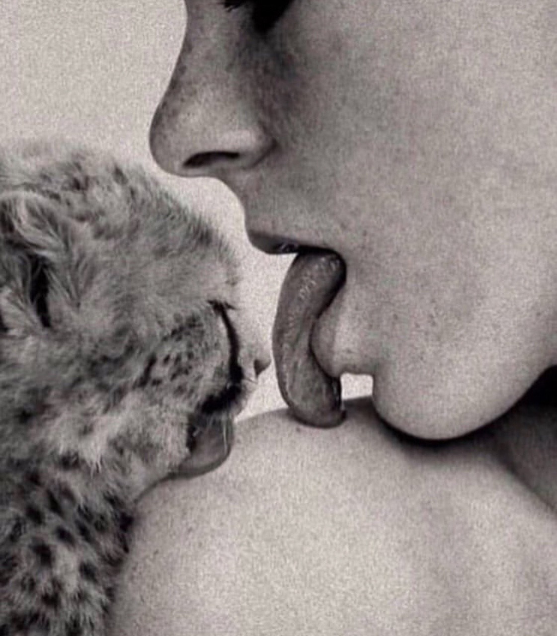 kitty-n-classe: