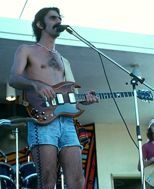 zimtrim: Frank Zappa