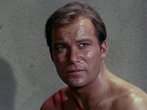 plaidshirtjimkirk: [[ Star Trek Advent Calendar ]] [[ day 11 ~ most beautiful character ]] #real