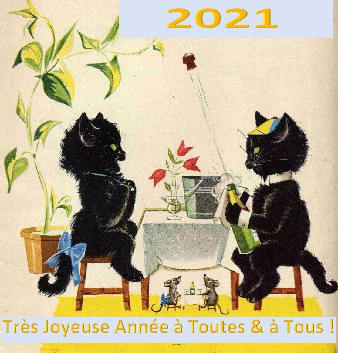 Bonne année 2021 ! 46e7e0b82169e3399e1f2bd0c725a2349f311900