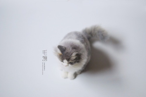 ▋ Persian cat ( custom-made ) Sculpture approximately 10 x 16 x 17 cm ( not including the tail )