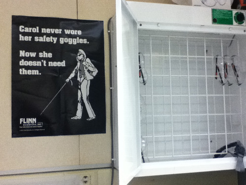 trouserweasel:my Chemistry teacher has this poster right next to the safety goggles case to make sur
