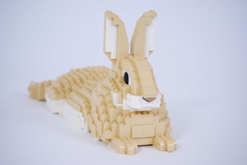 pimpmybricks:  Rabbit by Felix Jaensch https://flic.kr/p/2ecYcqV