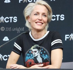 i-still-want&ndash;to-believe:Gillian Anderson - Facts Convention panel - April 7, 2018 (x)