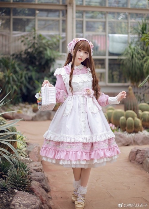 Milu Forest Bright like Spring Cherry Blossoms series preorder, now openMy Australia-based Taobao sh