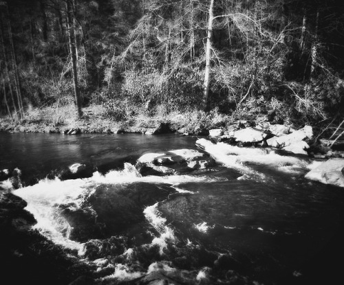 Follow the River