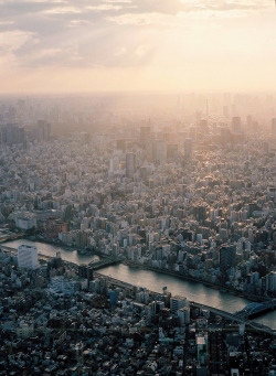 brutalgeneration:  A Sunset of Tokyo (by urarin) 