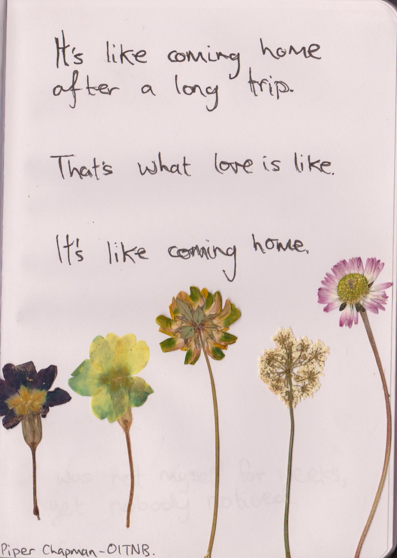 From my rotting body, flowers shall grow — It's like coming home after a  long trip. That's...
