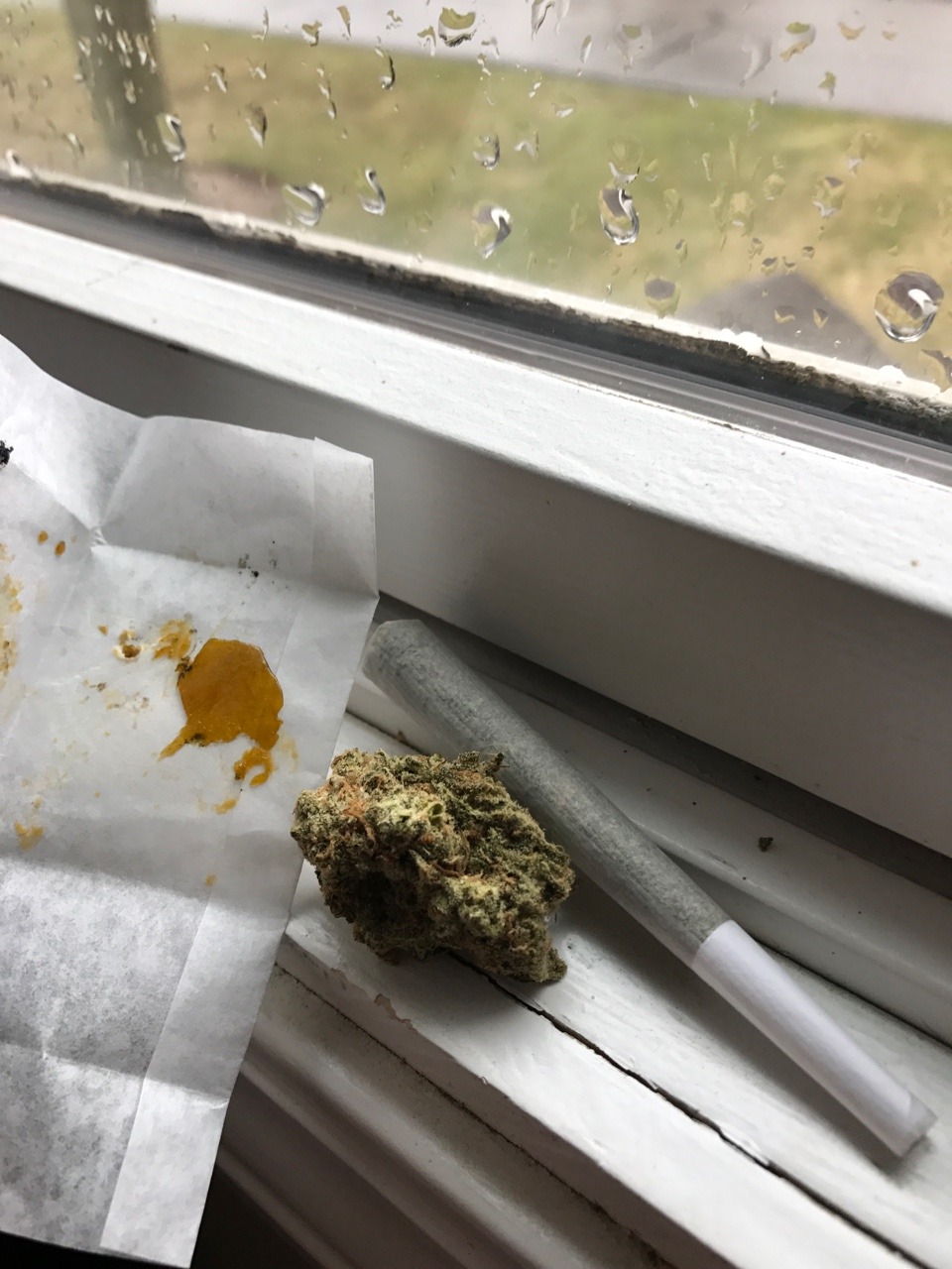 dollface-andcats:  Rainy day smoke sesh 💚💚💚