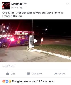 heyblackrose:  bellygangstaboo:    Bruhhhhh    Omg   As you can clearly see it was a black deer, black deer are always jumping in front of police cars to get hit so they can sue the city.