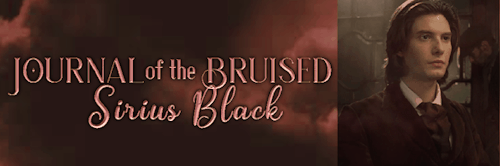 Journal Of The Bruised || Sirius Black