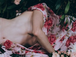 devidsketchbook:  DISCOURSE WITH FLOWERS BY LISA SORGINI Lisa Sorgini (tumblr) is an Australian photographer currently living in Melbourne, Australia.  ( via: anitaleocadia ) 