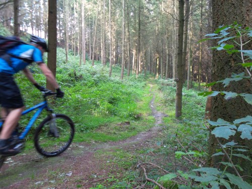 bikerbarbaar:  #MTB #Trail #Luxembourg #Speed #Mountainbiking