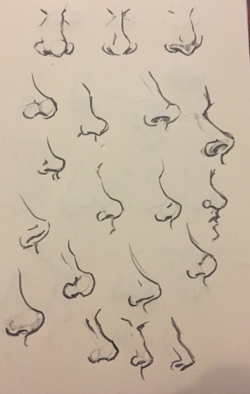 Look Noses!