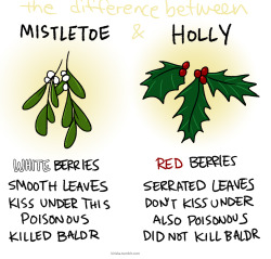 Zippysqrl: Kiriska: I Don’t Know Why It Bothers Me So Much When People Mix Up Mistletoe